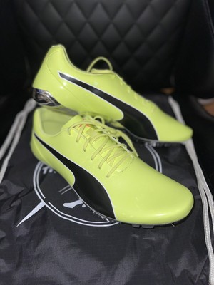 puma evospeed electric 8