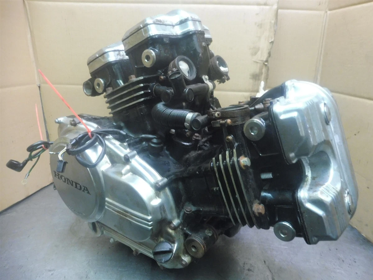 1985 2024 v45 magna