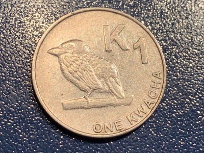 ZAMBIA - 1 Kwacha 2012  Nickel plated steel  Umlaufmünze