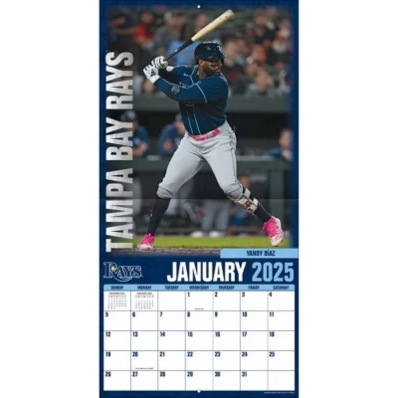 Tampa Bay Baseball 2026 Team Wall Calendar