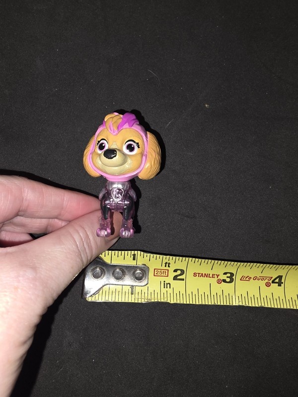 Paw Patrol The Mighty Movie Skye Nickelodeon Transparent Body