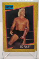 1991 Impel WCW #47 Ric Flair Wrestling Card