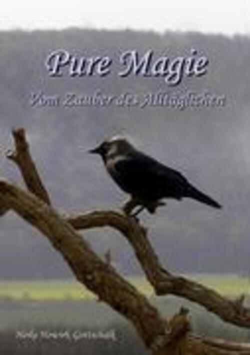 Thumbnail - Pure Magie | Heike Howirk-gottschalk | Vom Zauber Des Alltäglichen |