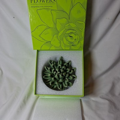 Schnittlauch Keramik Wand Blume Jadegrün Sukkulente 5 Zoll Durchmesser Verpackt
