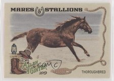 2019 Topps Allen & Ginter Mares and Stallions Thoroughbred Horse #MS-3 b1p
