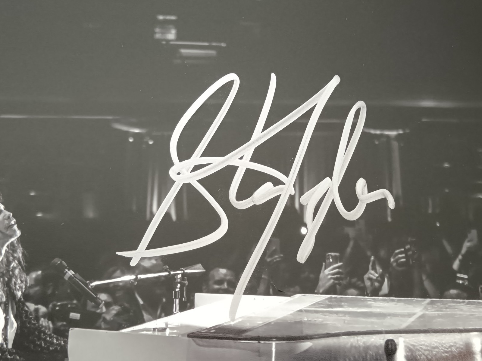 Steven Tyler SIGNED Janie Fund Charity AUTOGRAPHED 8x10 Fine Art Photo Aerosmith