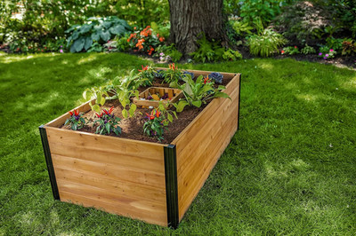 Mezza 3 Foot X 5 Foot Keyhole Garden with Composting Basket, Golden Brown with B