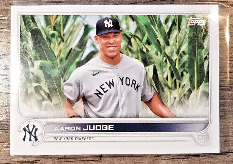 AARON JUDGE 2022 TOPPS SERIES 1 IMAGE VARIATION FIELD OF DREAMS SP YANKEES  MVP