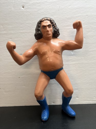 1984 LJN WWF Wrestling Superstars Long Hair 8� And...