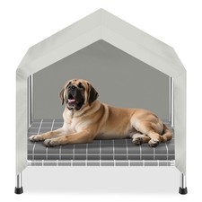 Elevated Dog House with Soft Cushion Insert - Comfortable Pet Home with Elevated