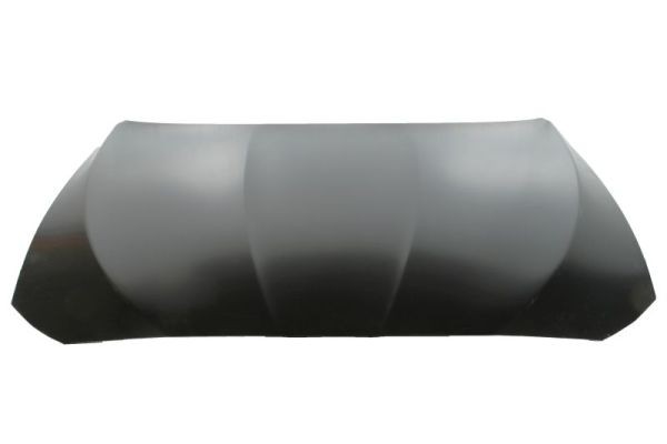 BLIC 6803-00-0067280AQ Bonnet for BMW