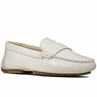 clarks c mocc