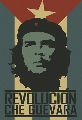 Viva Cuba - Viva Havana: Revolucion Che Guevara - Blechschild 20x30 