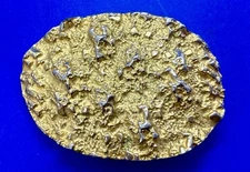 Texas Purities Nugget Textured Metal Gold Color Oval Belt Buckle
