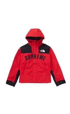 Supreme x The North Face ARC MOUNTAIN PARKA Jacket Men's L