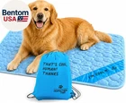 Self Cooling Dog Mat Washable Pet Cooling Pad Portable Indoor Outdoor Blue