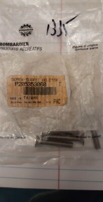 QTY 4 NEW OEM BRP SKI-DOO SEA-DOO 205353060 SCREW-SOCKET loc1335