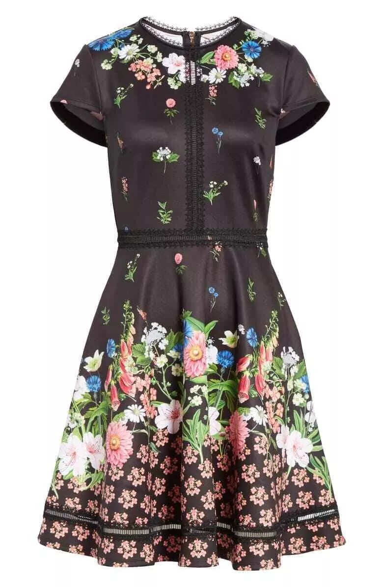 Ted clearance baker daissie