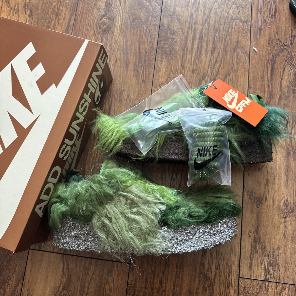 nike dunk cactus plant