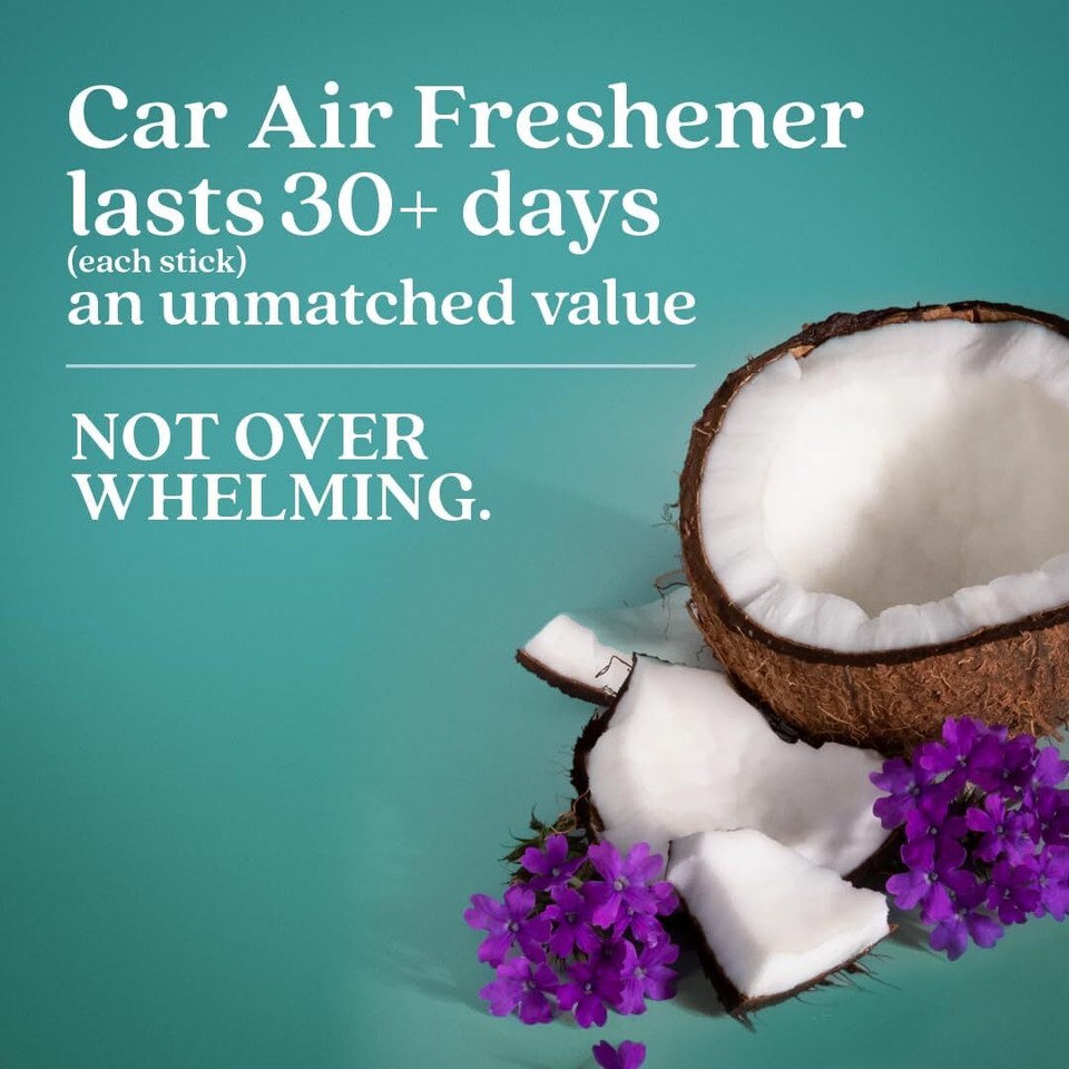 Enviroscent NonToxic Car Air Freshener (Seaside Coconut & Verbena) Natural eBay