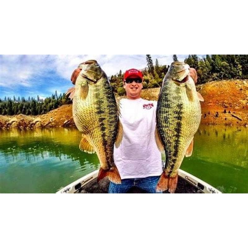 Titanium Umbrella Rig Five Wire System Lure Fishing Pre Spawn Schooling Fish New - Image 3