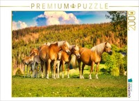 Calvendo Puzzle Group With Foal | 2000 Pieces, Finished Size 35.4 × 26.4 In (90