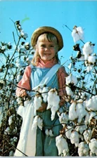 COTTON BOLLS Little Girl in Cotton Field farming - Postcard