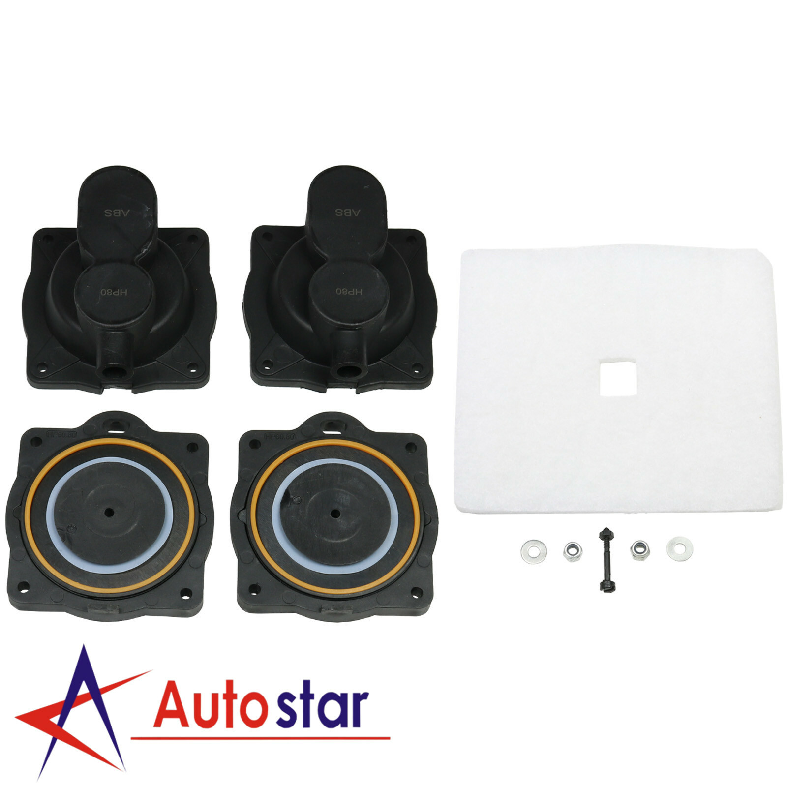 Air Pump Diaphragm Rebuild Repair Kit w/ Filter Screw Nuts