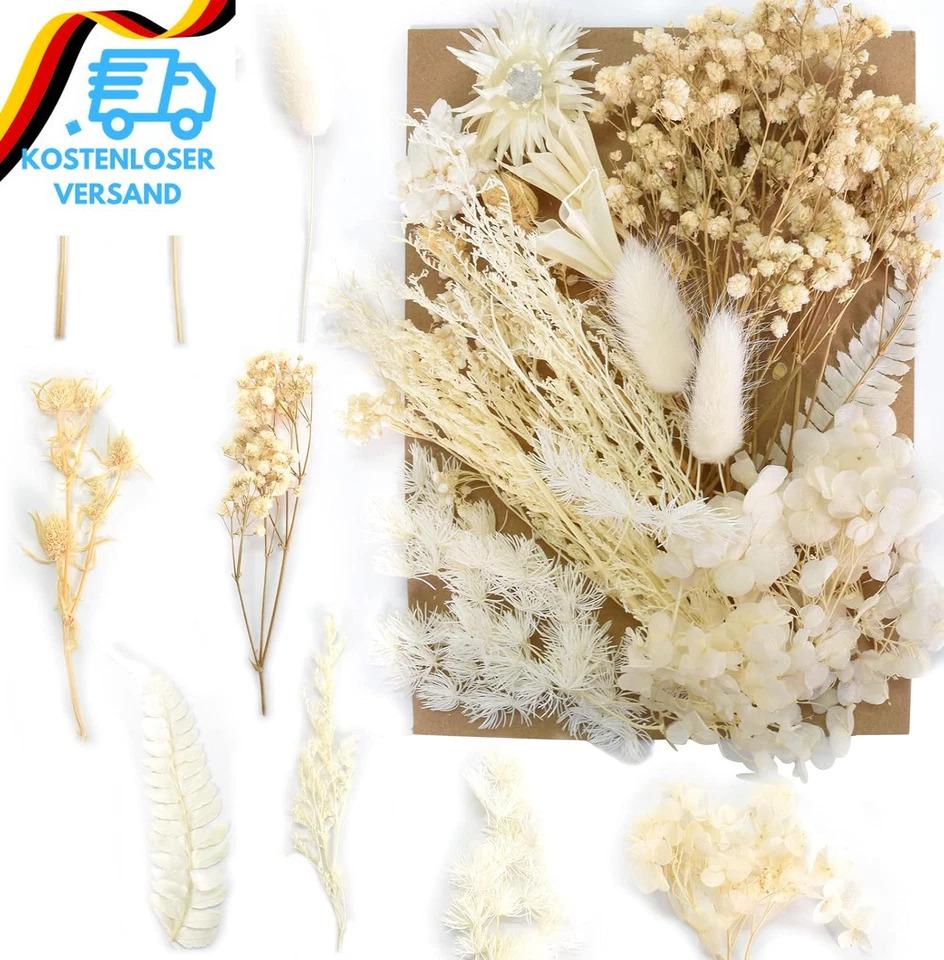 Trockenblumen Zum Basteln Natürliche Getrocknete Blumen Set Weiß Stil DIY Gemisc - Bild 3 von 4