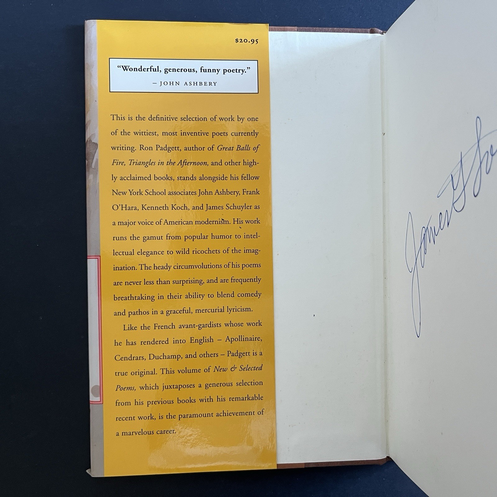 New and Selected Poems by Ron Padgett 1995 First Edition 1st HC Joe Brainard DJ