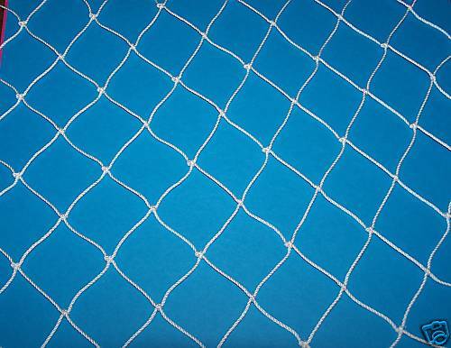 Poultry Net Game Bird Avairy Net  2"  Nylon #4 Lightweight 45 Lb Test  25' x 25' - Picture 1 of 1