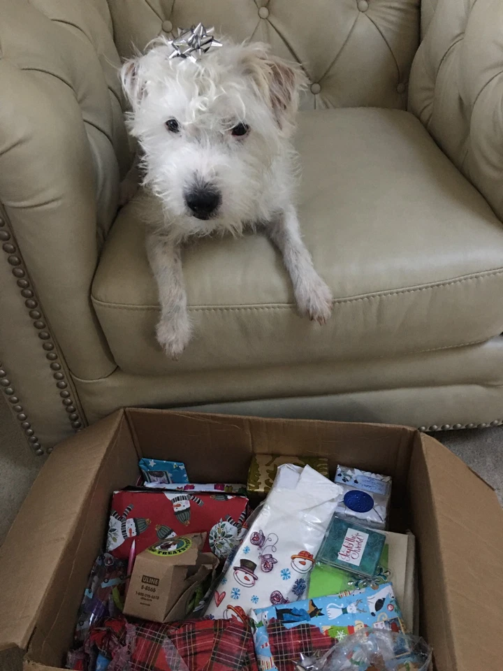 Acero inoxidable blanco plástico pillsbury manzana pera corer cuña cocina Foto 3 de 3