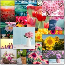 Doodlecards Pack of 20 Floral Photographic Blank Birthday Cards Notelets Thank y