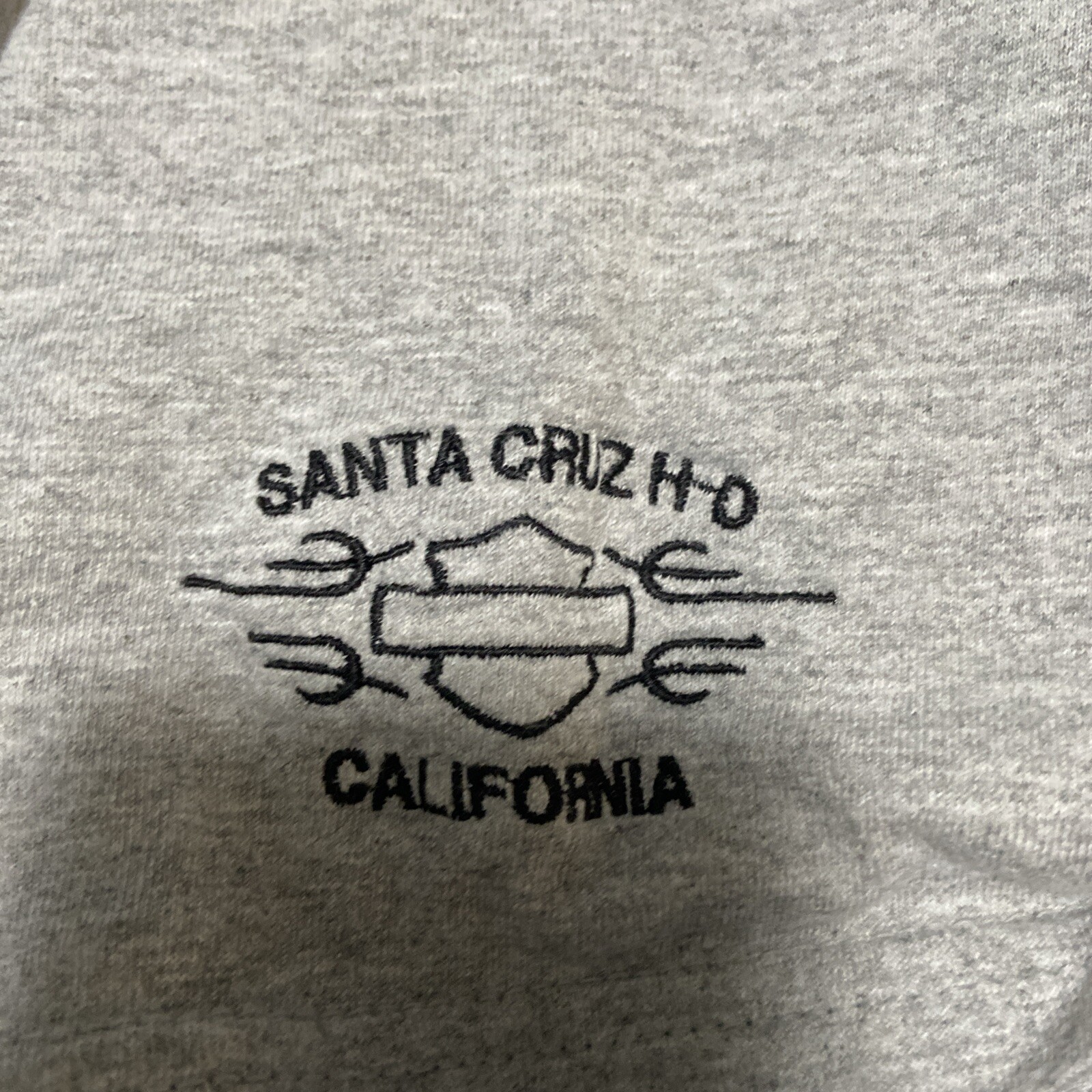 Harley Davidson Motorcycles T-Shirt Gray Men&rsquo;s XL Santa Cruz Biker