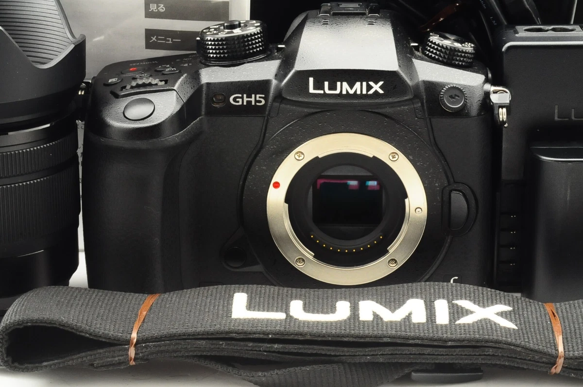 Top Mint Panasonic LUMIX DC-GH5M G VARIO 12-60mm Lens Kit From Japan #389