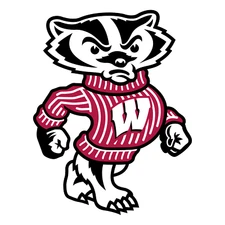 Wisconsin Badgers NCAA Weather Resistant Vinyl Die Cut Sticker Decal 07