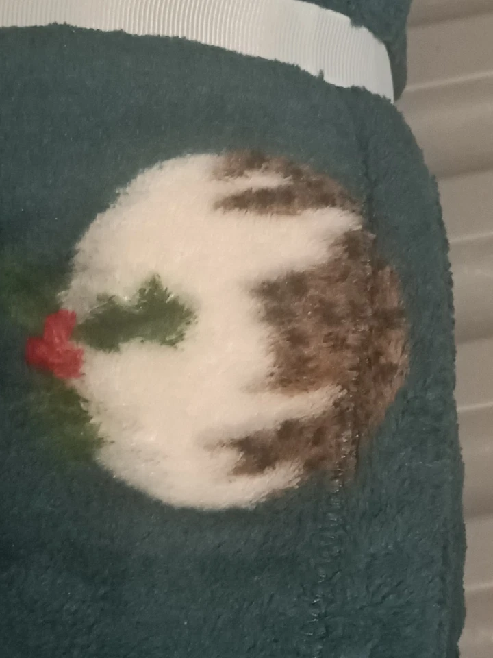 PRINTED CHRISTMAS PUDDING THEMED GREEN FLEECE THROW, 120cm x 150cm - Image 4 of 4