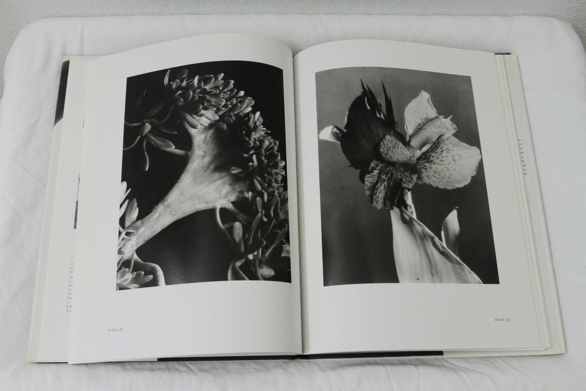 Imogen Cunningham: Flora by Richard Lorenz (1996, HCDJ) | eBay