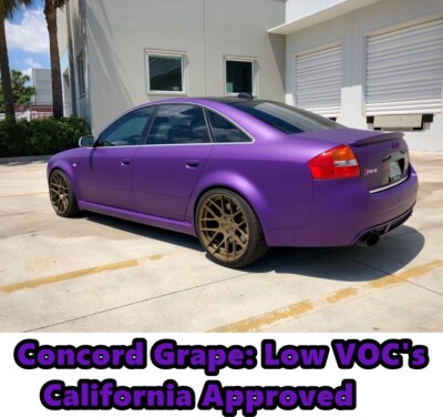 Plasti Dip Concord Grape Purple Gallon Performance Series Low VOC Spray 50 