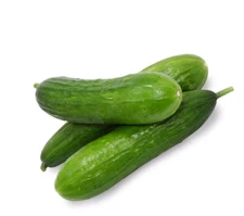 Beit Alpha Cucumber Seeds, Persian Cucumber, Burpless, FREE SHIPPING