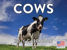 Cow Calendar 2026 Monthly Wall Calender 12 Month
