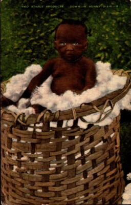 #ad #ad E.C. KROPP NATURAL COLOR POSTCARD TWO STAPLE PRODUCTS DOWN IN SUNNY DIXIE BK77 $5.00