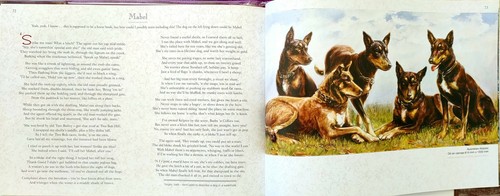 Book -Working Horses by Sandy Thorne and Almar Zaadstra - Picture 8 of 10