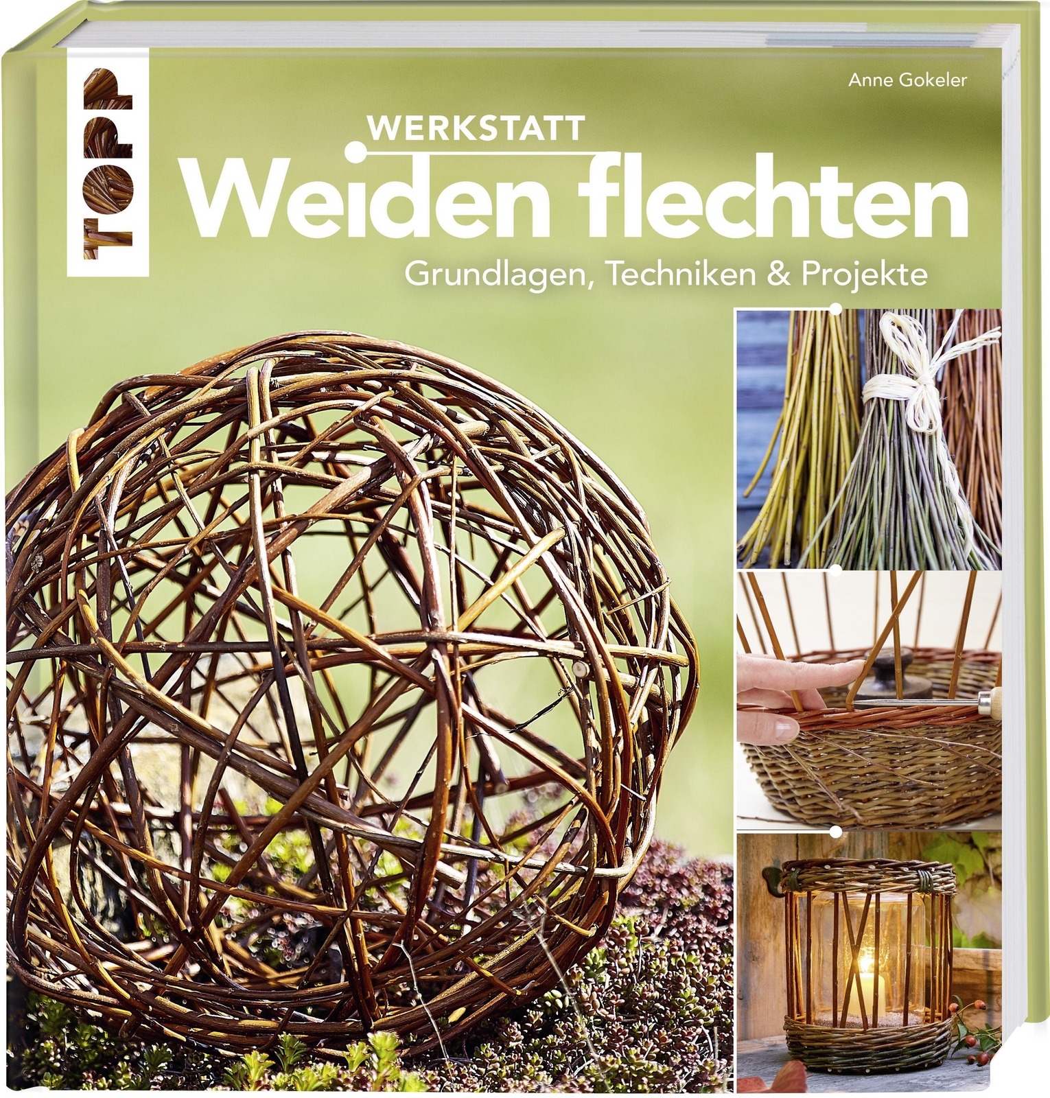 Thumbnail - Werkstatt Weiden Flechten | Grundlagen, Techniken & Projekte | Anne