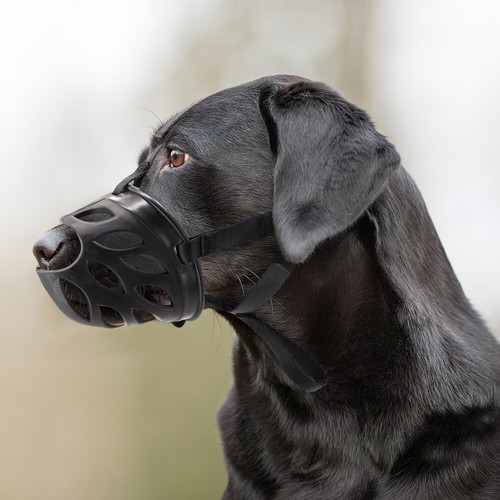 6 Sizes Adjustable Pet Dog No Bite Silicone Basket Muzzle Cage Mouth Mesh Cover - Picture 11 of 13