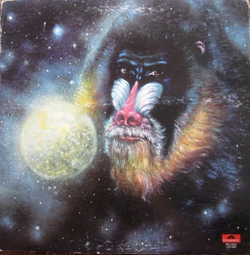 Mandrill - Mandrill Is 1972 LP, Album, Mon Polydor, Polydor PD 5025, 2391 030 Ve