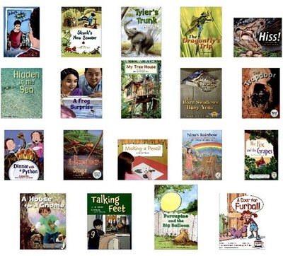 FOUNTAS & PINNELL Grade 2 Level I Guided Reading Books Leveled Readers