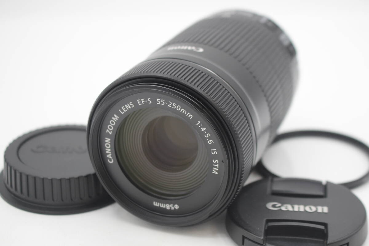 Canon EF-S 55-250mm F4-5.6 IS STM Telephoto Lens Used in Excellent Condition