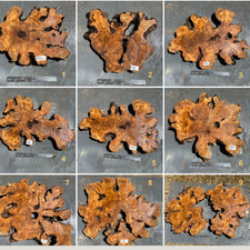 Olive Wood Slices for crafting and live edge woodworking