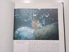 Foto 9 di 16